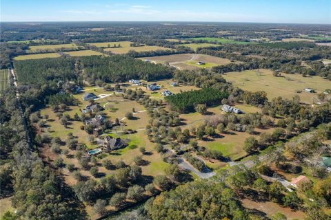 Land in Newberry, Florida № 1323858 - photo 5