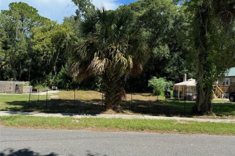 Terreno en venta en Saint Augustine, Florida № 1336393 - foto 1