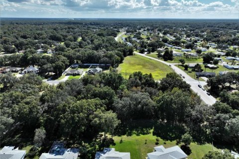 Terrain à vendre à Ocala, Floride № 221892 - photo 10