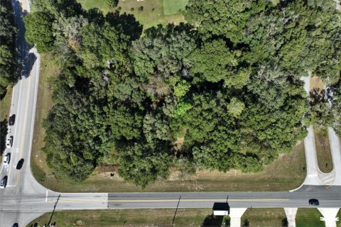 Terrain à vendre à Ocala, Floride № 221892 - photo 3