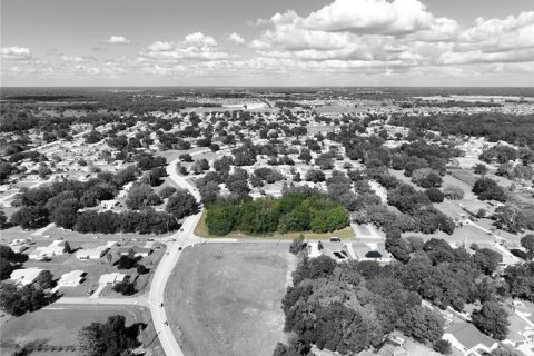 Terrain à vendre à Ocala, Floride № 221892 - photo 13