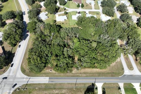 Terrain à vendre à Ocala, Floride № 221892 - photo 4