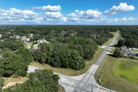 Terrain à vendre à Ocala, Floride № 221892 - photo 8