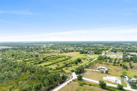 Terrain à vendre à Punta Gorda, Floride № 1169068 - photo 7