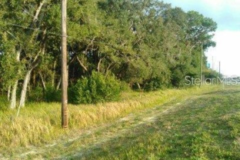 Land in Summerfield, Florida № 1373336 - photo 2