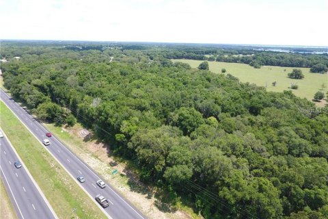 Land in Summerfield, Florida № 1373336 - photo 1