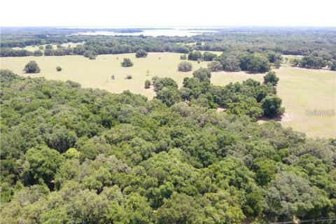 Terrain à vendre à Summerfield, Floride № 1373336 - photo 6