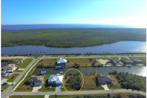 Land in Port Charlotte, Florida № 946956 - photo 2