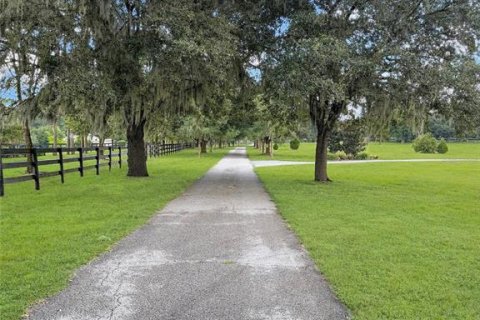 Terreno en venta en Ocala, Florida № 1318686 - foto 10