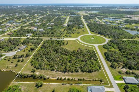 Land in Rotonda, Florida № 1285189 - photo 2