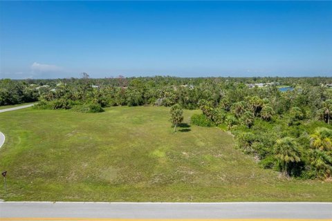 Terreno en venta en Rotonda, Florida № 1285189 - foto 8