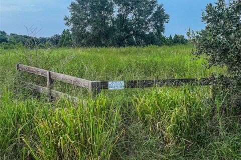 Land in Fort Meade, Florida № 1325061 - photo 11