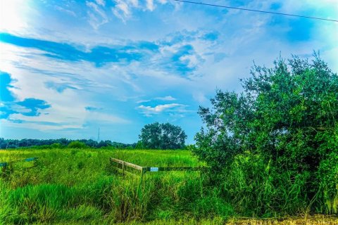 Land in Fort Meade, Florida № 1325061 - photo 1