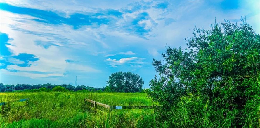 Terrain à Fort Meade, Floride № 1325061