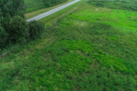 Terrain à vendre à Fort Meade, Floride № 1325061 - photo 8