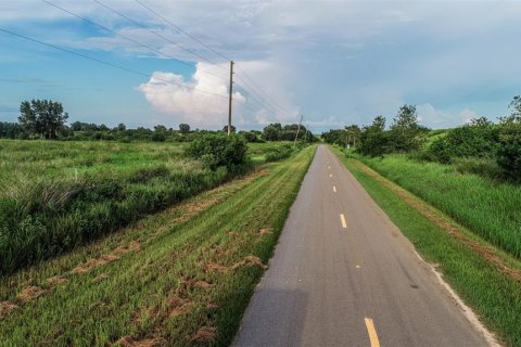 Land in Fort Meade, Florida № 1325061 - photo 2