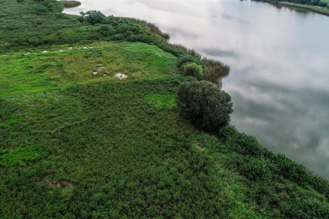 Land in Fort Meade, Florida № 1325061 - photo 22