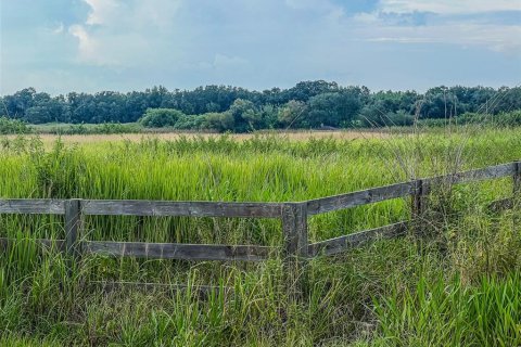 Land in Fort Meade, Florida № 1325061 - photo 13