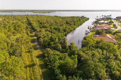 Terreno en venta en Port Charlotte, Florida № 1334016 - foto 15