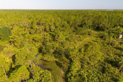 Land in Port Charlotte, Florida № 1334016 - photo 12