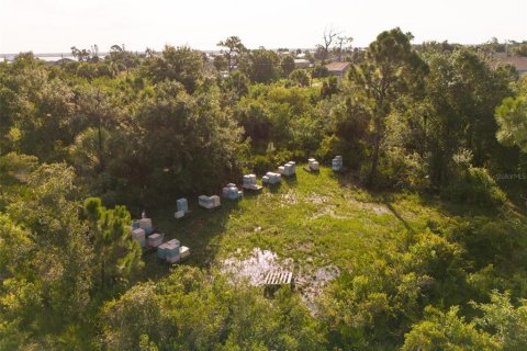 Land in Port Charlotte, Florida № 1334016 - photo 11