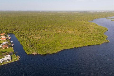 Land in Port Charlotte, Florida № 1334016 - photo 21