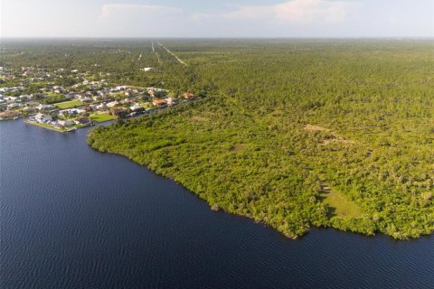 Land in Port Charlotte, Florida № 1334016 - photo 18