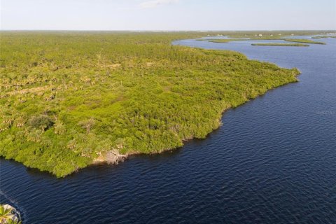 Land in Port Charlotte, Florida № 1334016 - photo 26