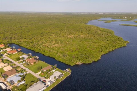 Land in Port Charlotte, Florida № 1334016 - photo 22