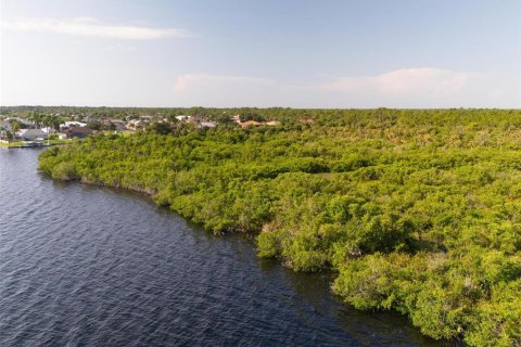 Land in Port Charlotte, Florida № 1334016 - photo 23