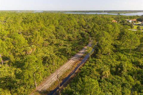 Land in Port Charlotte, Florida № 1334016 - photo 14