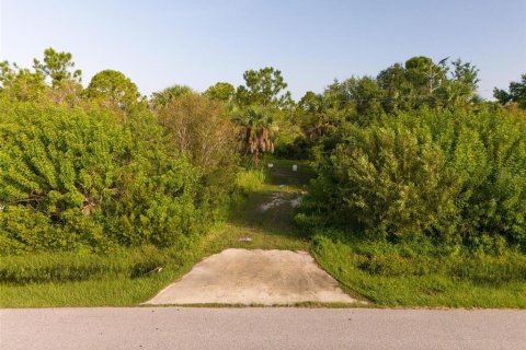 Terreno en venta en Port Charlotte, Florida № 1334016 - foto 8