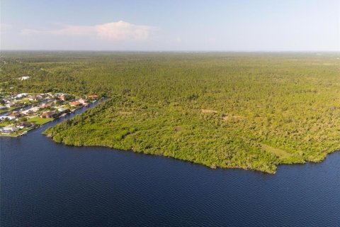 Land in Port Charlotte, Florida № 1334016 - photo 19