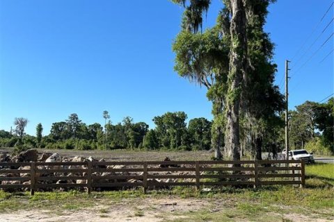 Terreno en venta en Ocala, Florida № 1122301 - foto 2