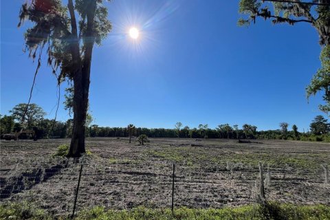 Land in Ocala, Florida № 1122301 - photo 11