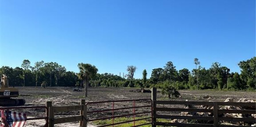 Terrain à Ocala, Floride № 1122301