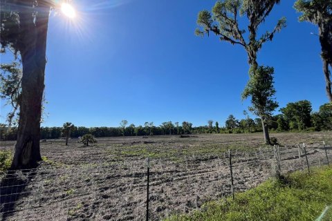 Terreno en venta en Ocala, Florida № 1122301 - foto 10