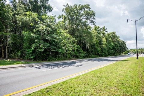 Terreno en venta en Ocala, Florida № 218782 - foto 12