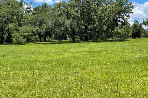 Terrain à vendre à Ocala, Floride № 217461 - photo 6