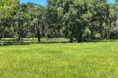 Terrain à vendre à Ocala, Floride № 217461 - photo 1