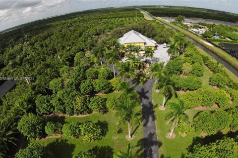 Villa ou maison à vendre à Homestead, Floride: 4 chambres, 498.23 m2 № 783000 - photo 25