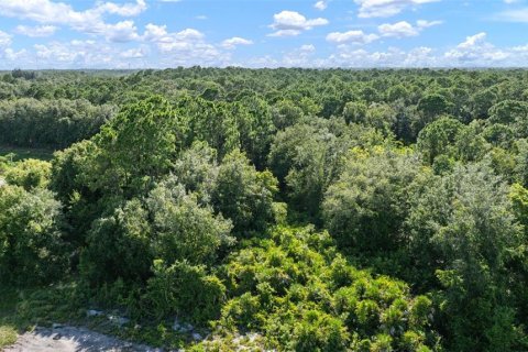 Land in Sebring, Florida № 1280276 - photo 11