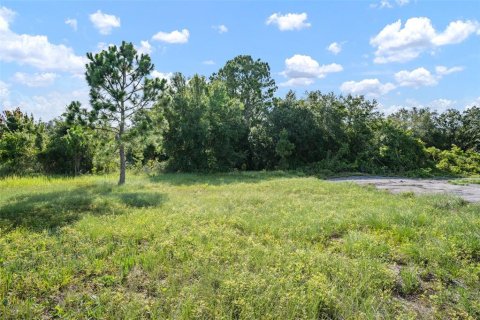 Land in Sebring, Florida № 1280276 - photo 12