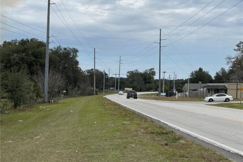 Terreno en venta en Dade City, Florida № 950741 - foto 9