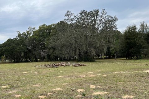 Terreno en venta en Dade City, Florida № 950741 - foto 6