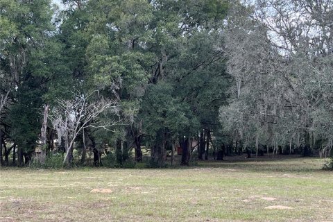 Land in Dade City, Florida № 950741 - photo 5