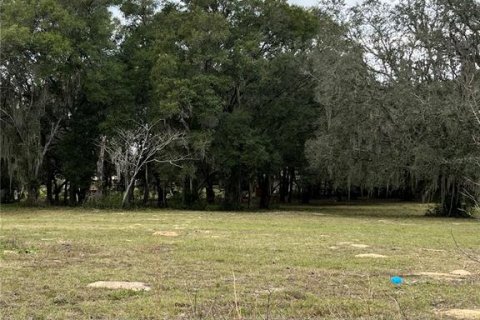 Terreno en venta en Dade City, Florida № 950741 - foto 7