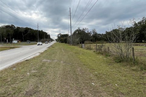 Terreno en venta en Dade City, Florida № 950741 - foto 8