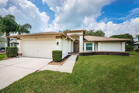 Villa ou maison à vendre à Trinity, Floride: 2 chambres, 168.9 m2 № 1318242 - photo 1