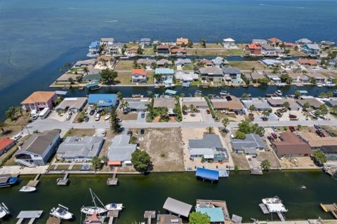 Land in Hudson, Florida № 218617 - photo 9